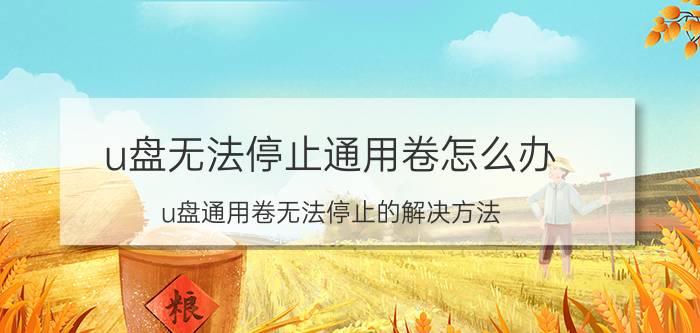 u盘无法停止通用卷怎么办 u盘通用卷无法停止的解决方法